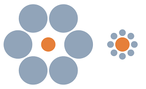 A simple optical illusion or contrast image, like the Ebbinghaus illusion (the two middle circles surrounded by different-sized outer circles).