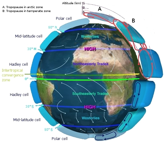 This file is in the public domain in the United States because it was solely created by NASA. An illustration of the earth with three generalized circulation cells shown for each hemisphere.