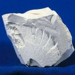 Specimen of kaolin, a clay oineral, showing dull or earthy luster