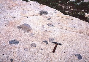 Xenoliths are bits of surrounding counjtry rock incorporated in intrusive magma and solidified within it.