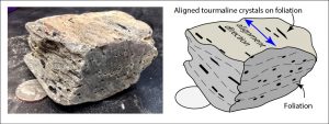 Source: Peter Davis Aligned tourmaline crystals in line with foliation. Foliation is the fine "layers" of the rock.