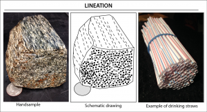 Source: Peter Davis, Pacific Lutheran University Lineation is aligned linear features in a rock. An example in the figure is a bundle of aligned straws.