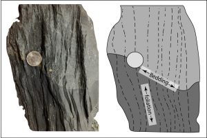 Source: Peter Davis Foliation is caused by metamorphism. Bedding is a result of sedimentary processes. They do not have to align.