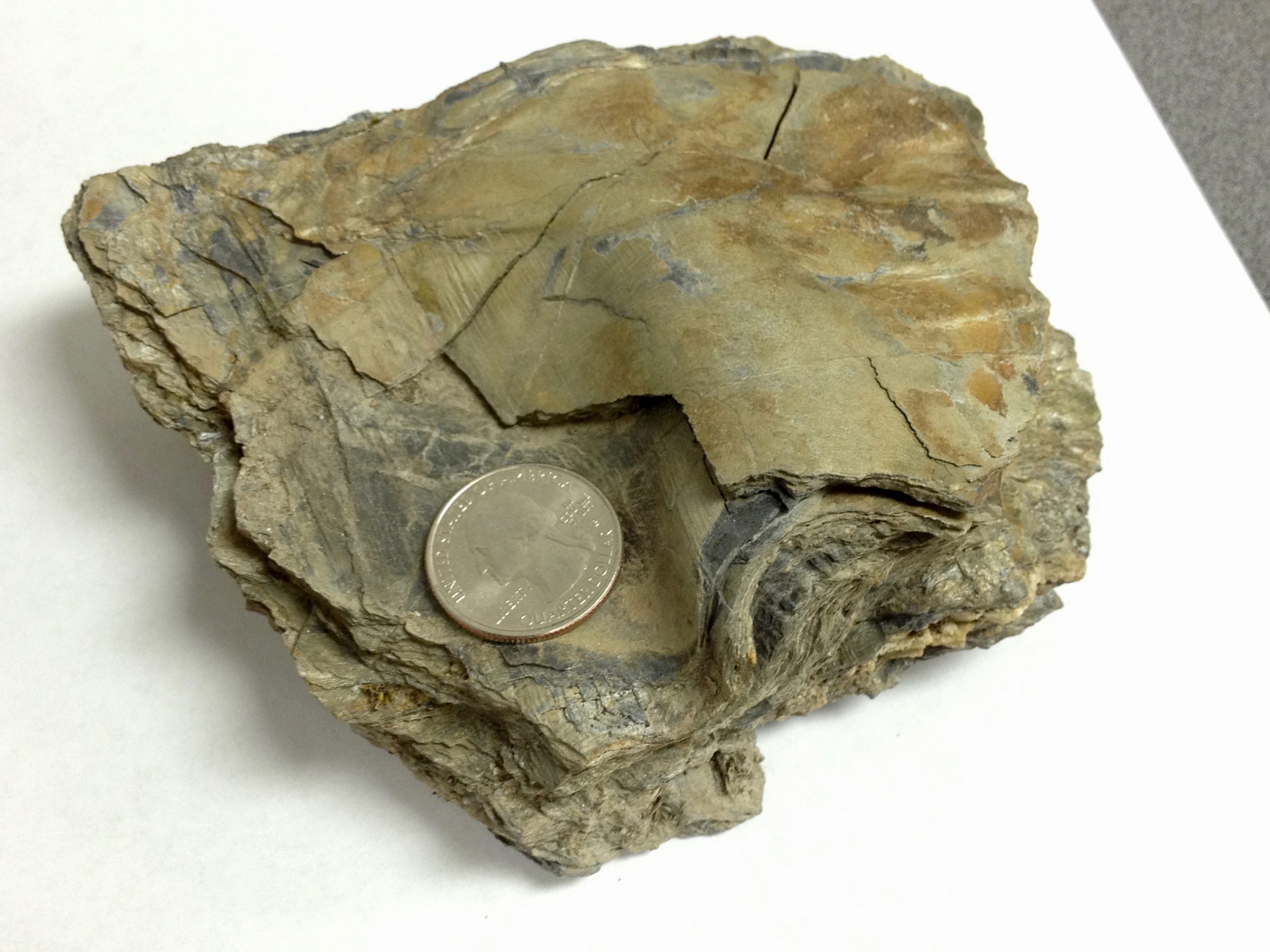 Source: Peter Davis A foliated rock with a slight sheen.