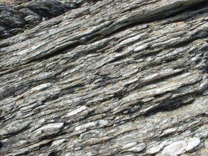 Pebbles in quartzite deformed by directed stress