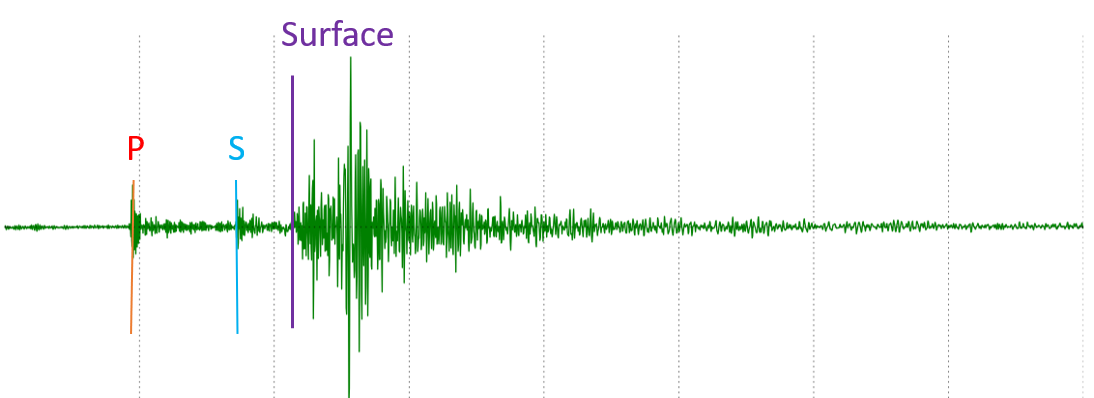 Squiggly lines along a horizontal axis. When the P-wave arrives, a small amplitude squiggle shows up. Then the S-wave arrives, and another small-amplitude squiggle shows. Finally, the surface-waves arrive, and large-amplitude waves show up, two to three times the amplitude of the body waves. Then the wave taper off and the line becomes essentially horizontal again.