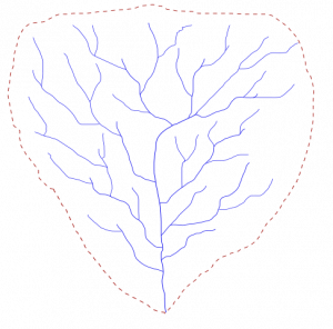 Map view of a drainage basin with main trunk streams and many tributaries with drainage divide in dashed red line.