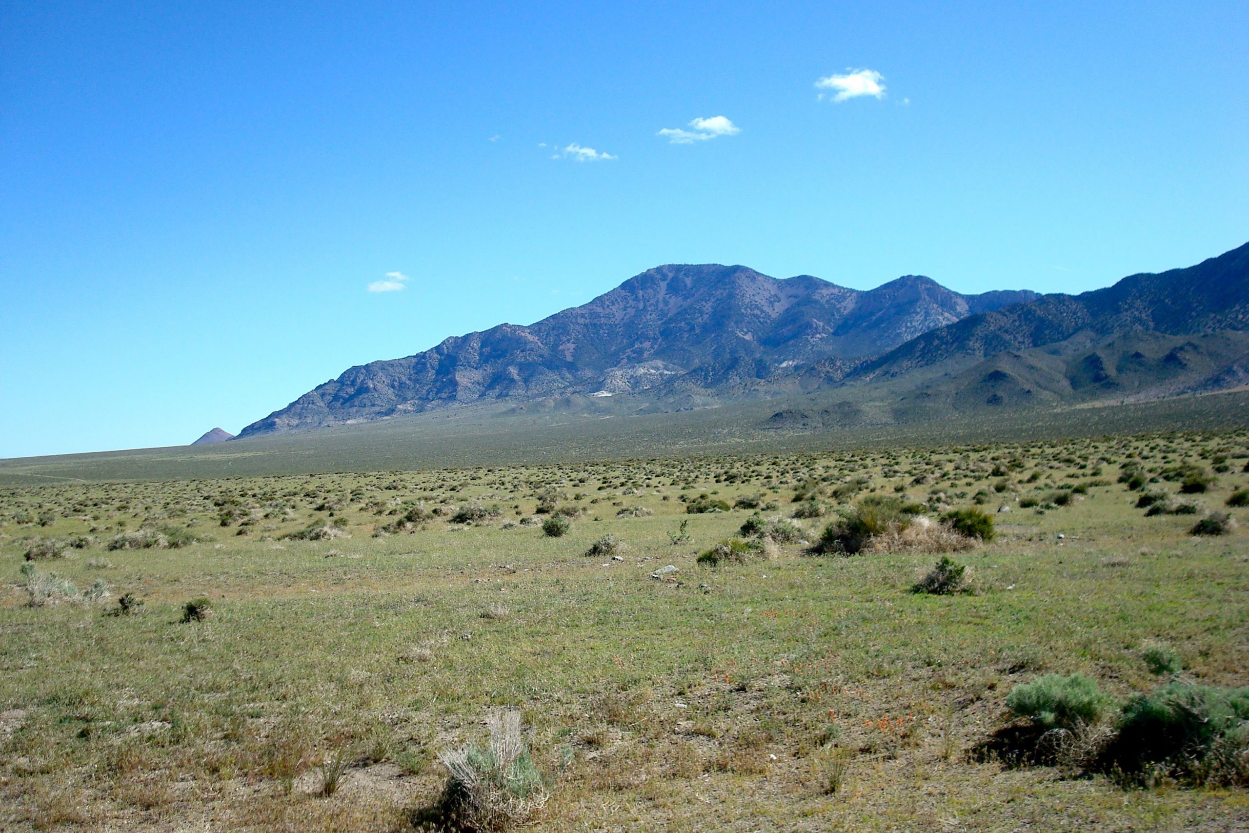 Photo of mountain where alluvial fans have coalesced into an apron of sedimant along the mountain front.