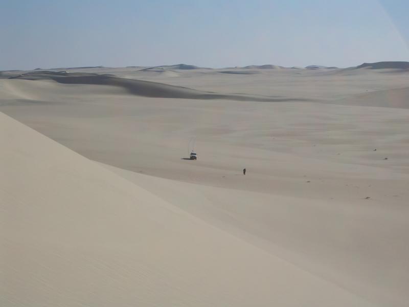 The Sahara Desert, a sea of sand or erg.