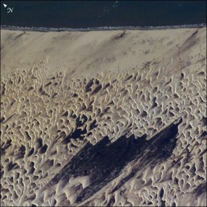 Source: NASA image in the Public Domain Satellite image of a field of bnarchan dunes, eqach showing the fcharacteristic shape of sand wings wrapped around the bare dune court. The wionmgs point in the direction of prevailing winds.