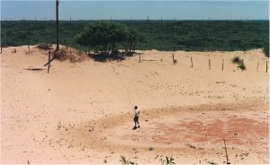 Source: This file is licensed under the Creative Commons Attribution-Share Alike 3.0 Unported license. Photo of land level lowered by wind causing a blowout.