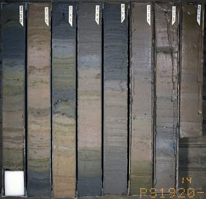 Source: Hannes Grobe, https://en.wikipedia.org/wiki/File:PS1920-1_0-750_sediment-core_hg.jpg#metadata Image of sediment core showing clear layering and vertical changes in color and composition.