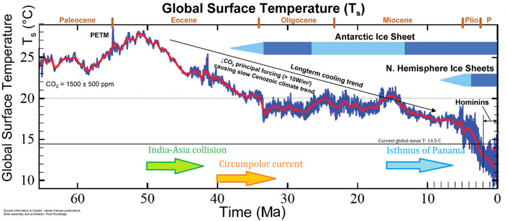 Graph showing decrease of average surface temperature from 23 degrees Celsius 50 million years ago to 12 degrees Celsius near present.