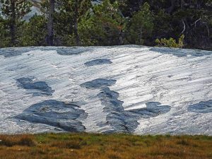 Shiny, reflective rock with aligned grooves.