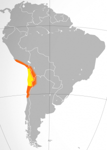 By cobaltcigs It is in west-central South America