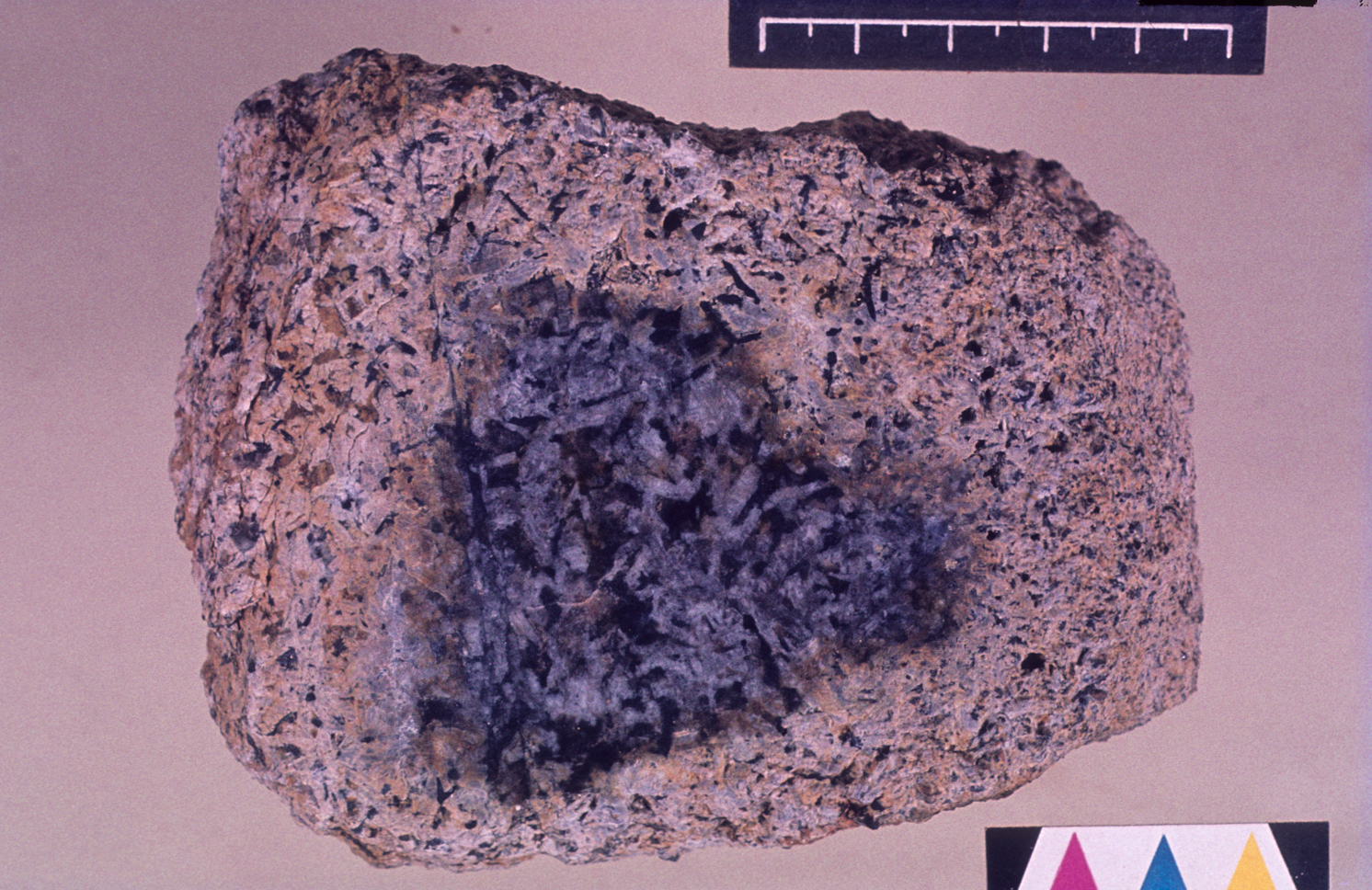 "By The outside of the rock is tan and weathered, the inside is grey.
