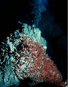 There is a large build up of minerals around the vent
