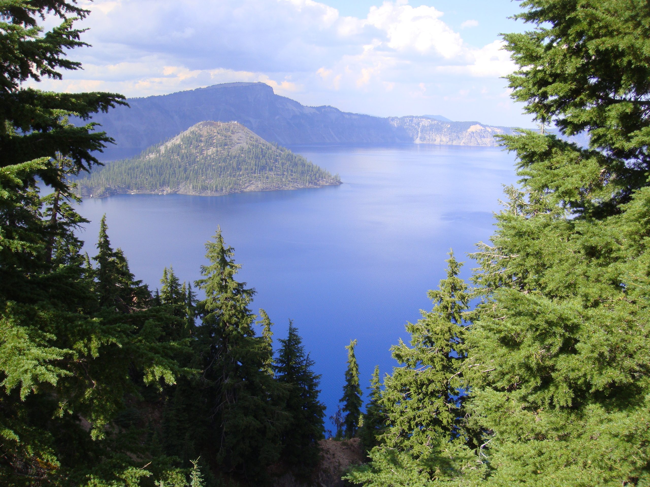 The island is forested, as are the flanks