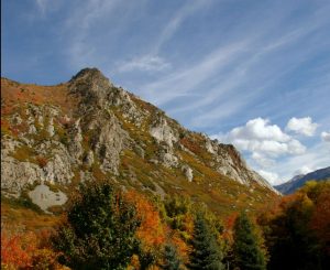 Exposure of Cottonwood Stock in Little Cottonwood Canyon, Utah