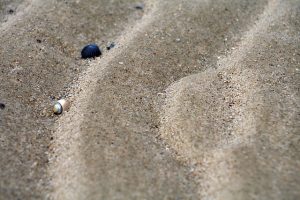 The sand has a steep side on the left of the ripple, and a more gentle slope on the right.