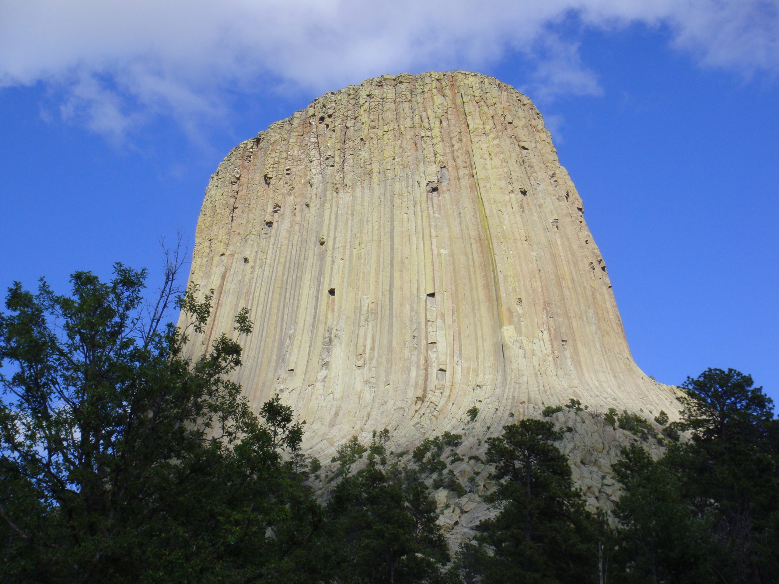 The rock is full of columns