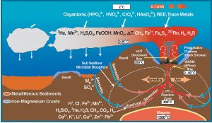 The diagram shows water going into the ground and coming out, with many different reactions.