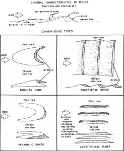 US National Park Service, public domain The chart has the way dunes are made and four dune types.