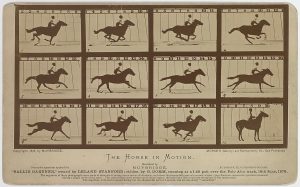 There are 12 images of the horse, at least one has the legs off the ground.