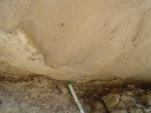 By Matt Affolter The bulge is sticking out of a rock layer above the head of the observer.