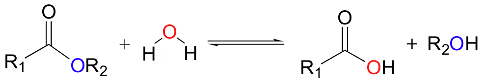 The diagram on the left is before hydrolysis.