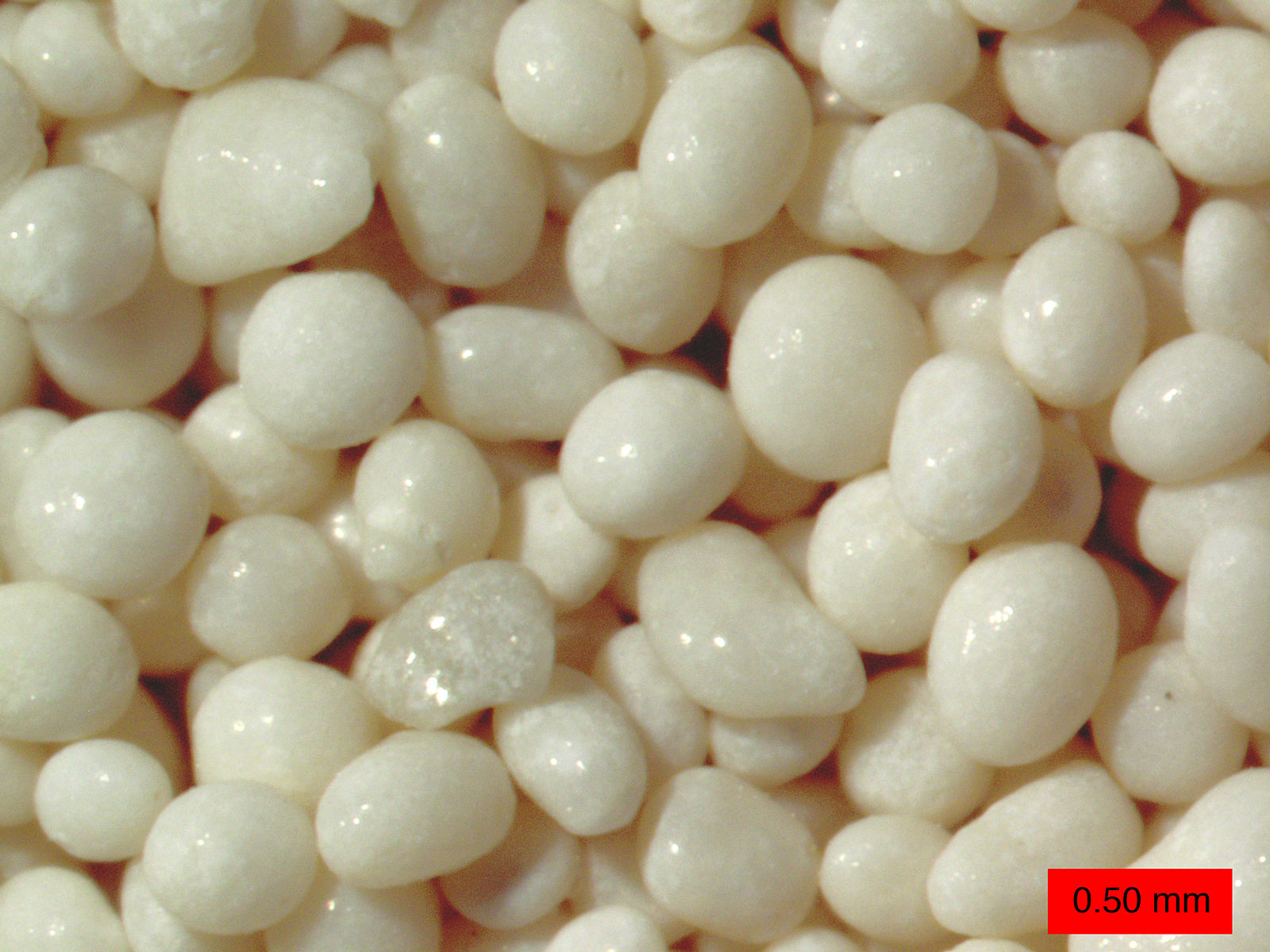 "By The ooids are very smooth and round