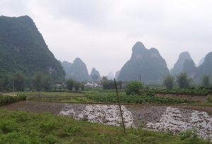Steep rock towers left as remnants of limestone layers dissolved away by acidic rainwater.