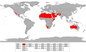 Peel, M. C., Finlayson, B. L., and McMahon, T. A. (University of Melbourne) The hot deserts are all near 30 north or south latitude.