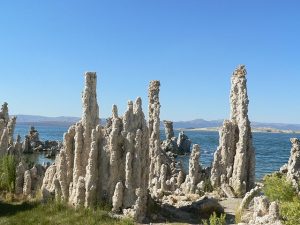 The grey limestone towers vertically stick out of the ground.