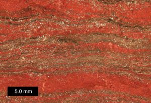 "By The rock shows red and brown layering.