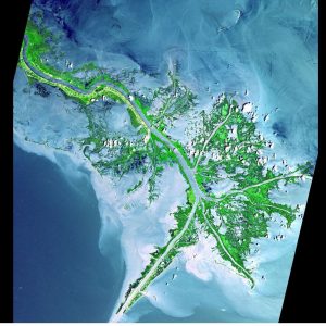 Birdfoot river-dominated delta of the Mississippi River