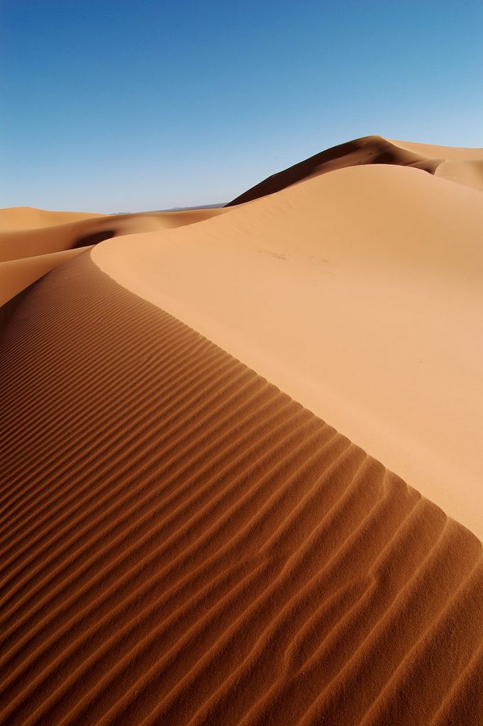 The red dune sand is rippled on one side (the steep side) and smooth on the other.