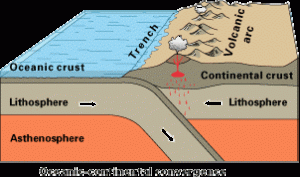 The thinner ocean plate is going under the thicker continental plate.