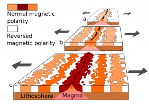 The older stripes are farther from the ridge.
