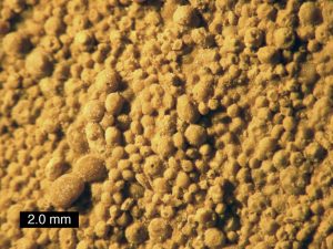 Ooids forming an oolite.