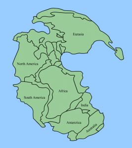 Pangaea has a crescent shape.