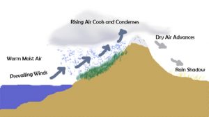 By en:User:Bariot There is a dry and wet side to the mountain due to air movement.
