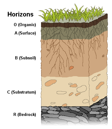 The image shows 5 soil layers, ranging from highly altered at the top, to unaltered at the bottom.