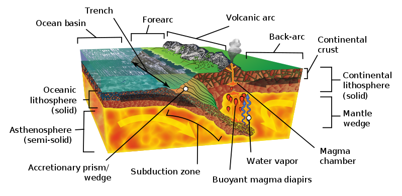 Many features are labeled on the diagram, but the main idea is the ocean plate descending below the continental