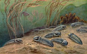Trilobites, by Heinrich Harder, 1916. The trilobites are crawling over the sea floor