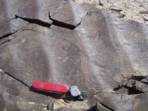 By Matt Affolter This brown rock has symmetry in its ripples.