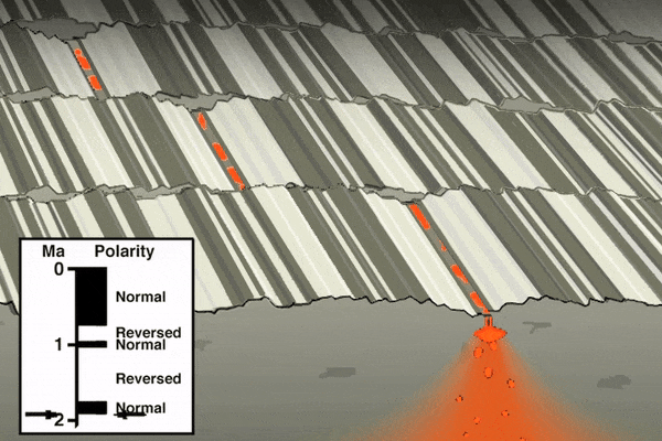 animation showing the mid ocean ridges. As new oceanic plate is made at the ridge, it cools and preserves the current magnetic field at the time of cooling. When the poles reverse, the magnetic polarity flip is preserved in the oceanic plate record.