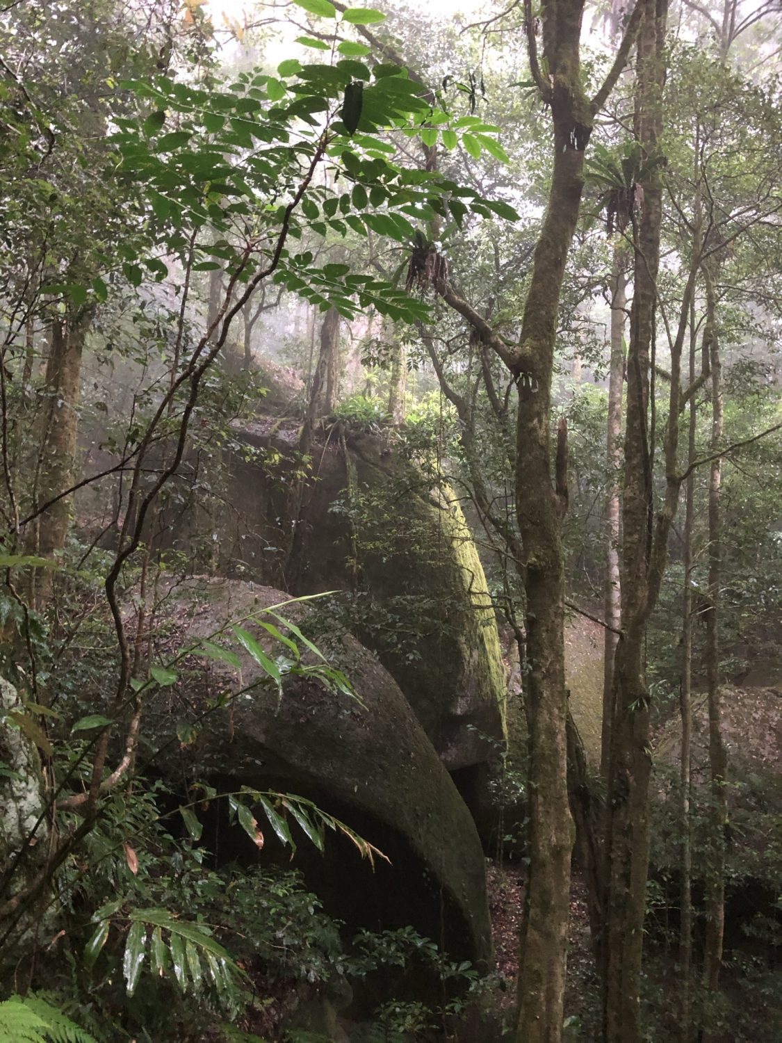 Cover image for Environmental Science Lab Manual