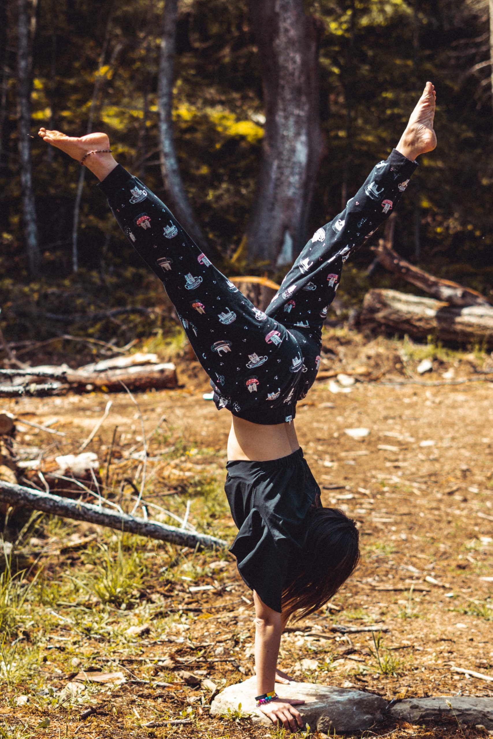 15.4.1 Handstand