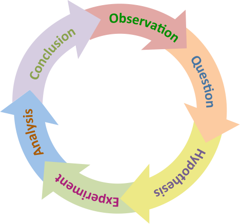 Diagram shows the scientific cycle arranged in a circular formation: Observation, questions, hypothesis, experiment, analysis, conclusion and then returning to observation again.